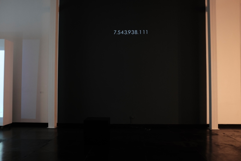 _DSF9813